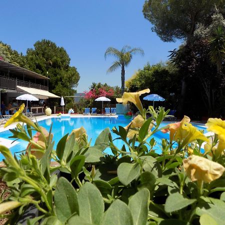 Lefkas Blue Hotel Nikiana Exteriör bild